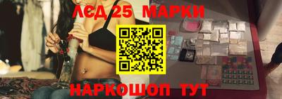МДПВ Донецк