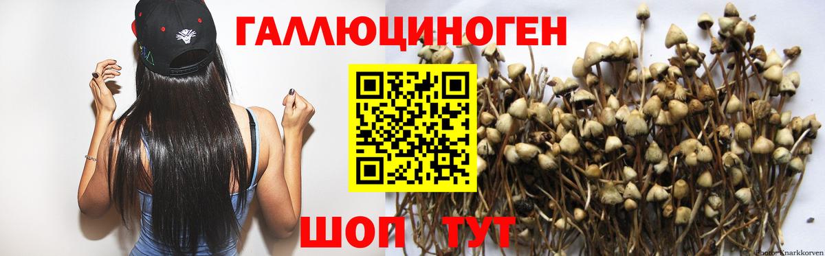 Орёл  Псилоцибиновые грибы мицелий  наркошоп  Вход с VPN 